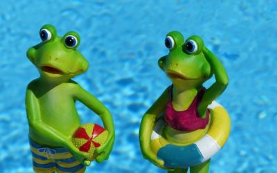 Neue Kurse im Hallenbad